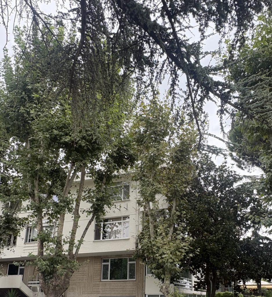 Yalı Apartmanı